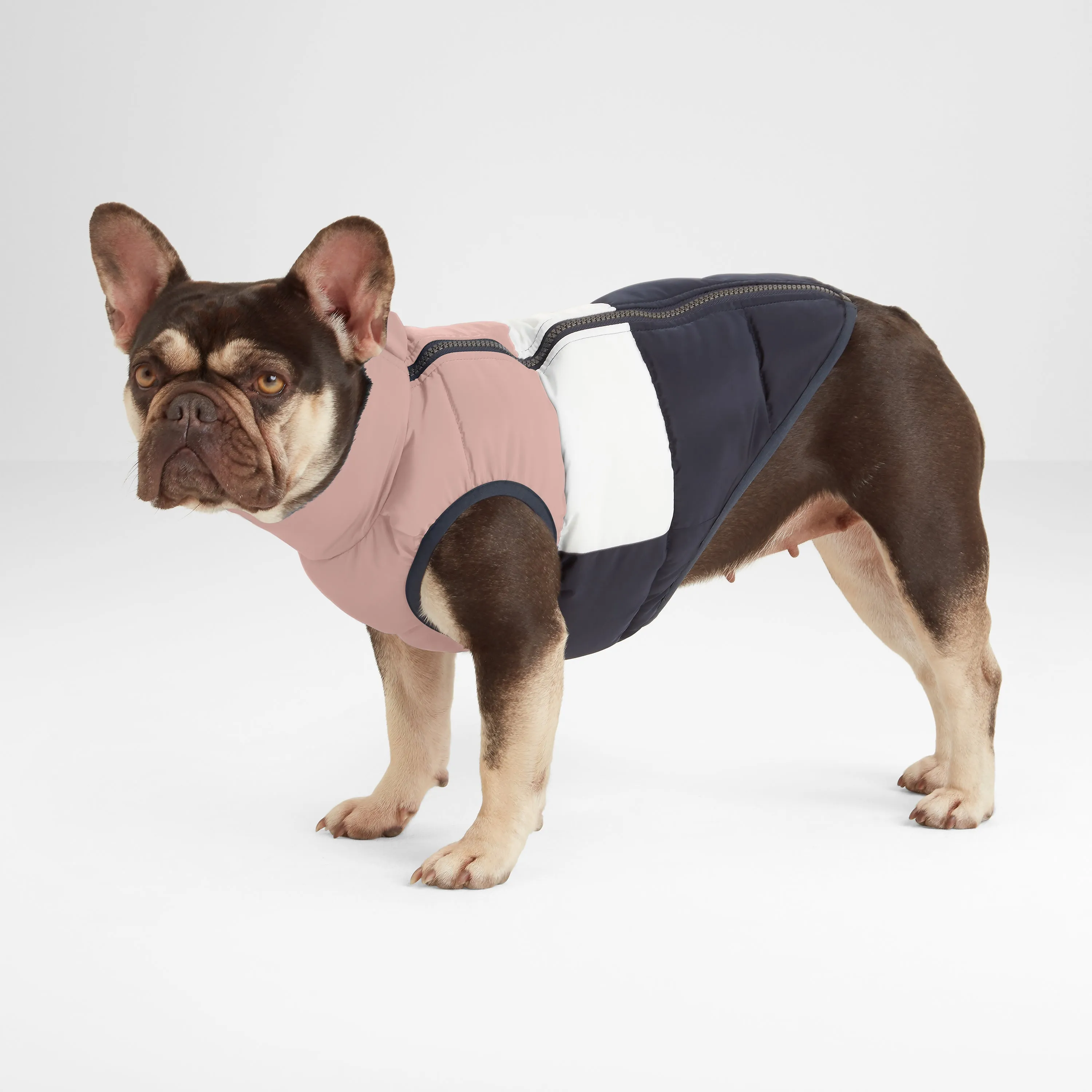 Fetch Padded Dog Coat XS - Faded Pink/Ice Grey/Washed Blue