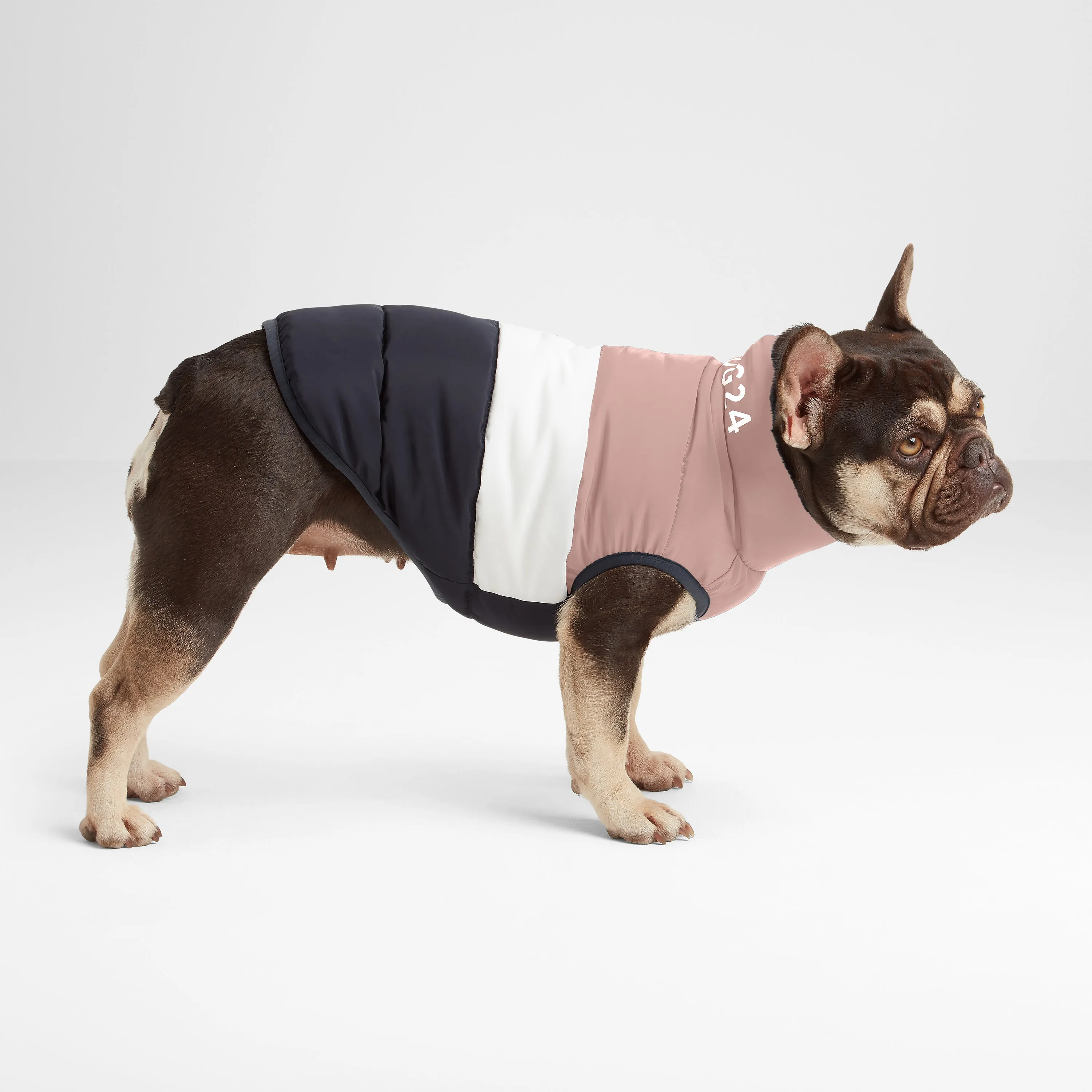 Fetch Padded Dog Coat XS - Faded Pink/Ice Grey/Washed Blue