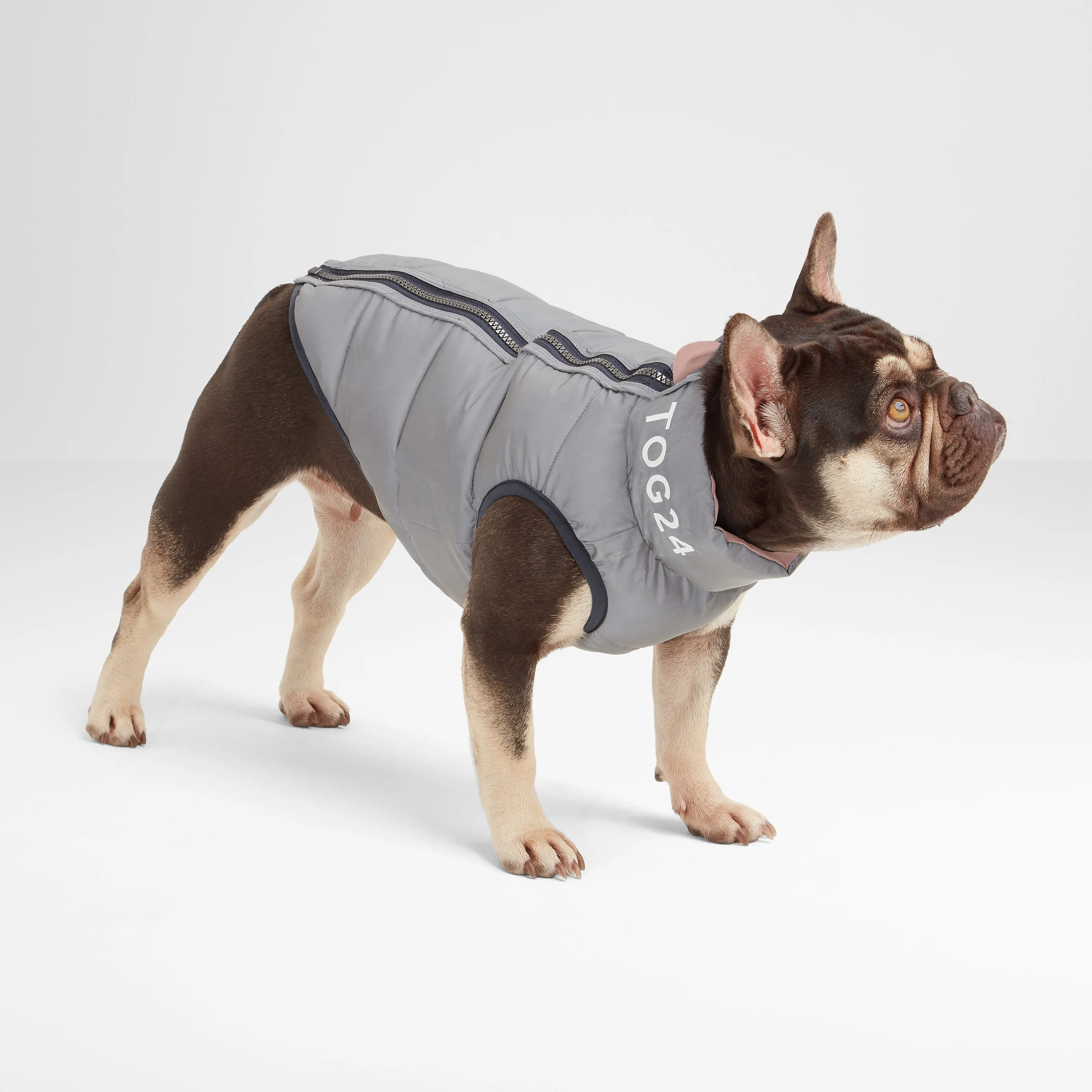 Fetch Padded Dog Coat XS - Faded Pink/Ice Grey/Washed Blue