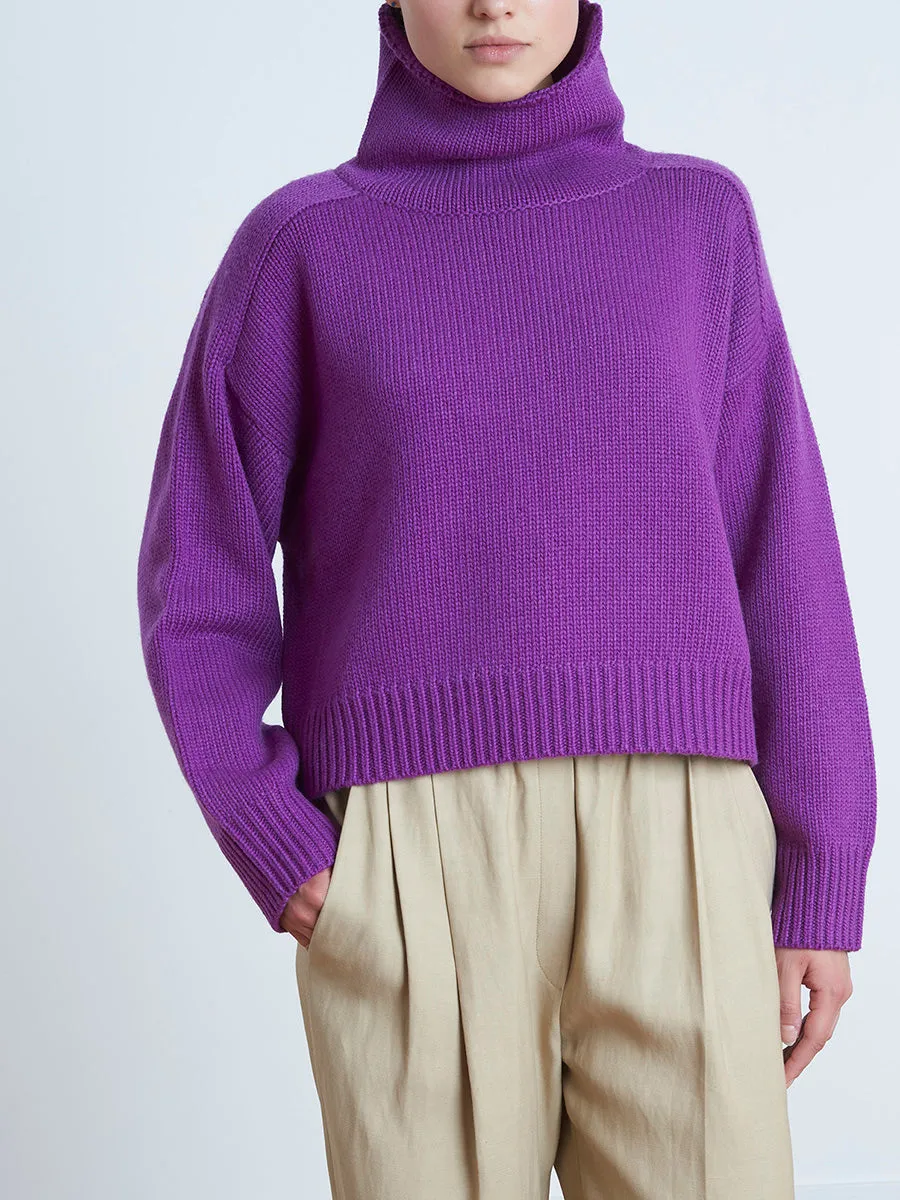 Procida Wool Blend Turtle Neck Sweater