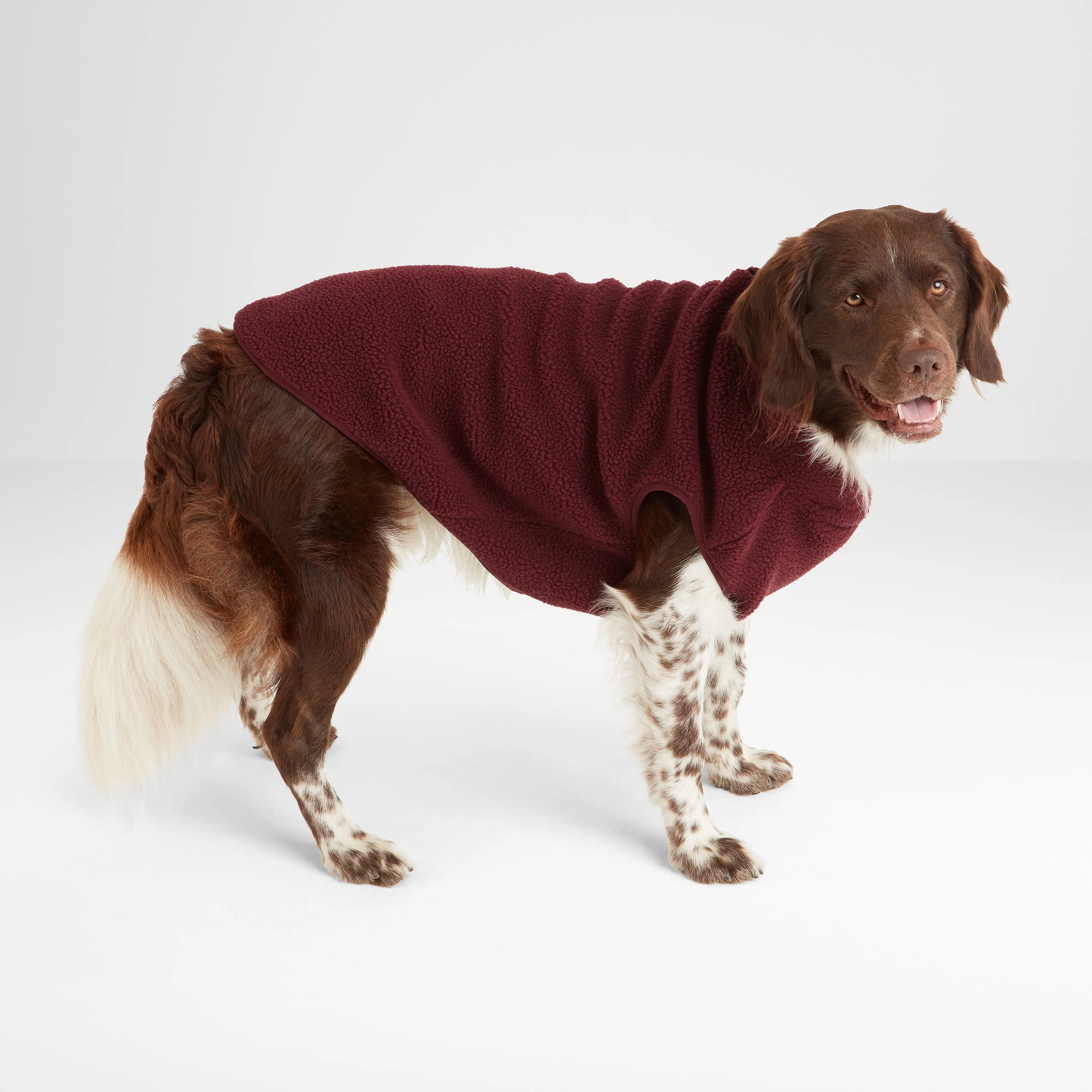 Rover Sherpa Dog Coat M - Maroon