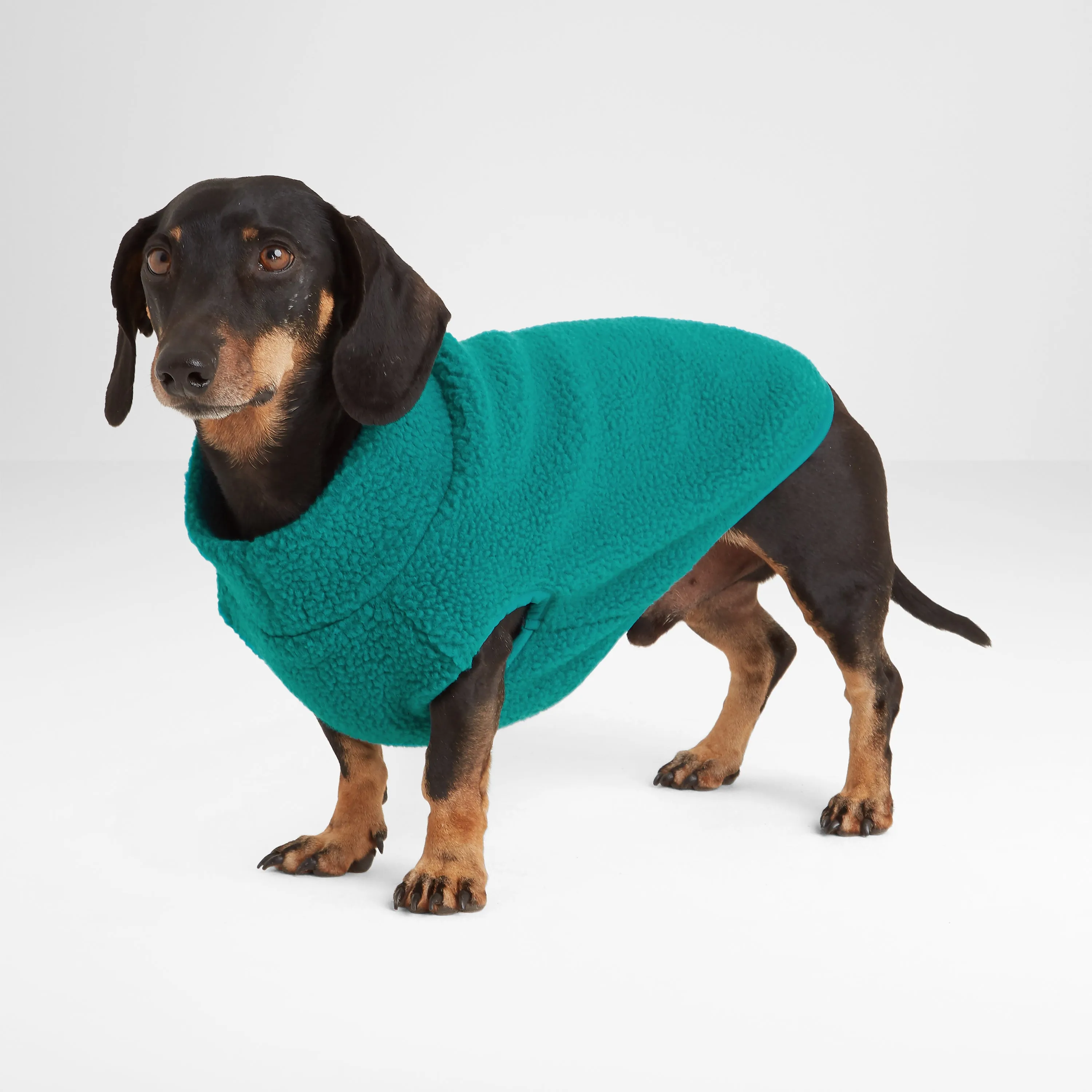 Rover Sherpa Dog Coat S - Teal